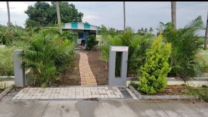 Plot Area in  Plot at Boribhadak – for Sale