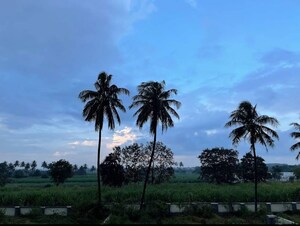 Plot Area in  Plot at Boribhadak – for Sale