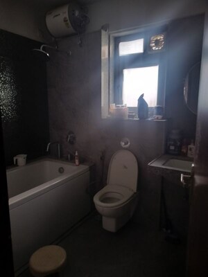 4 BHK Apartment For Rent in Amanora Adreno Towers, Hadapsar