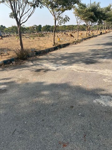 Plot Area in  Plot at Subhagruha Sukrithi Royal, Rachloor – for Sale