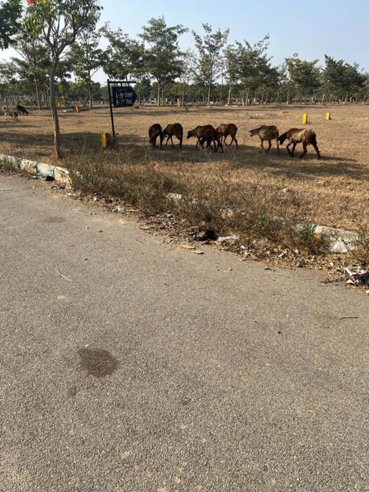 undefined, subhagruha-sukrithi-royal  280 Sq.Yd. Plot In Rachloor Hyderabad 9924000