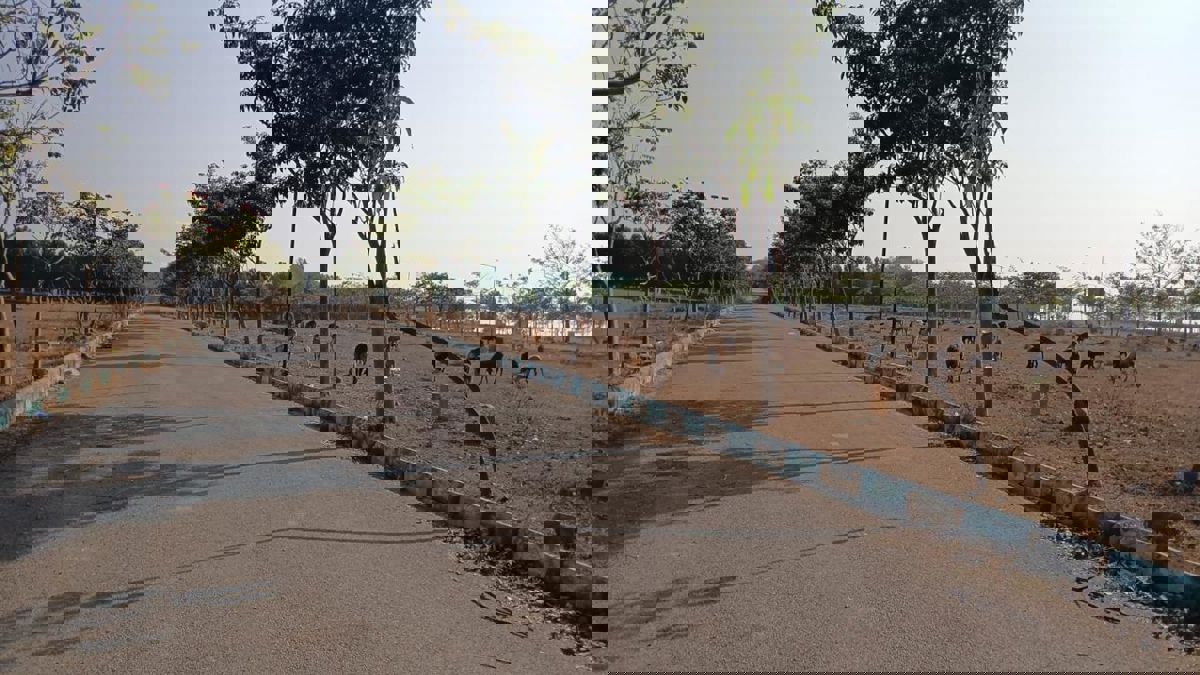 Plot For Sale in Subhagruha Sukrithi Royal