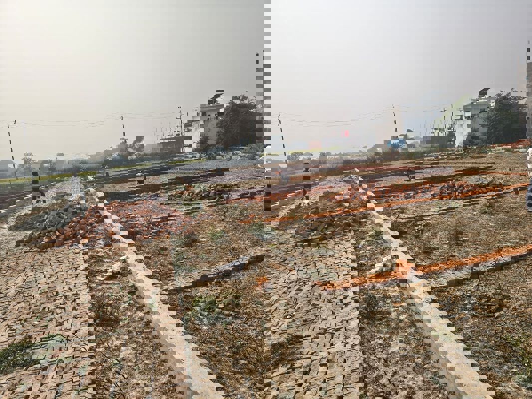 Plot For Sale in Kamta