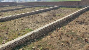 Plot Area in  Plot at Motiram Adda – for Sale