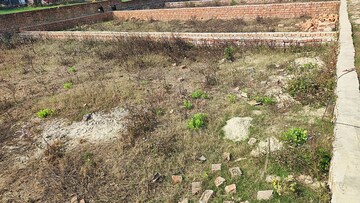 Plot Area in  Plot at Motiram Adda – for Sale