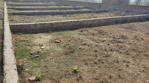 Plot Area in  Plot at Motiram Adda – for Sale
