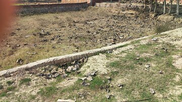 Plot Area in  Plot at Motiram Adda – for Sale