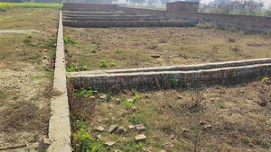 Plot Area in  Plot at Motiram Adda – for Sale