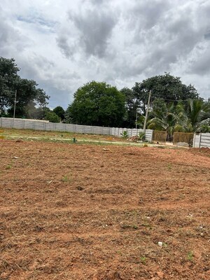 Plot Area in  Plot at Whitefield – for Sale