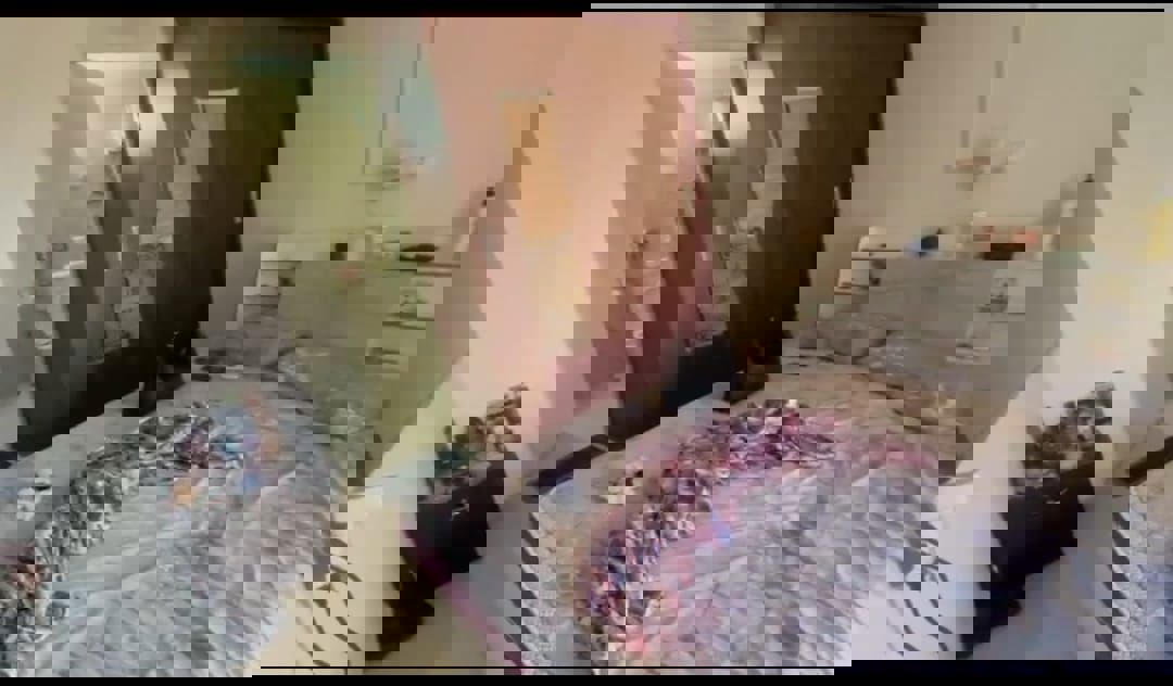 2 BHK 556 Sq.Ft. Apartment in Signature The Millennia 2