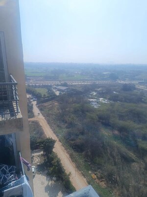 2 BHK Apartment For Rent in The Address Mullanpur, North Mullanpur