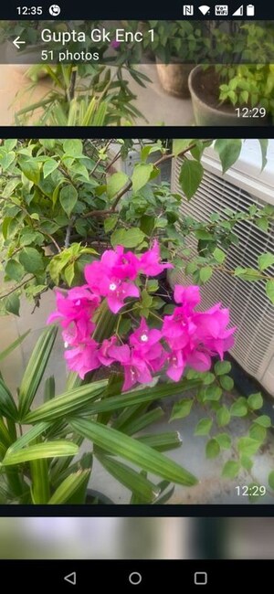 Balcony in 2 BHK Builder Floor at Greater Kailash I – for Rent