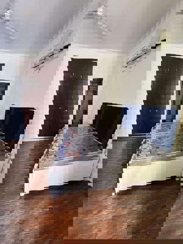 2 BHK Apartment For Rent in Saket