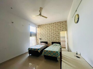 Living Room in 1 BHK Builder Floor at Kriti CGHS, Sector 21c – for Rent