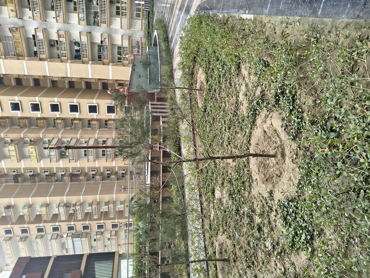 Exterior View, migsun-vilaasa 3 Bedroom 1075 Sq.Ft. Apartment In Eta Ii Greater Noida Greater Noida 9925104