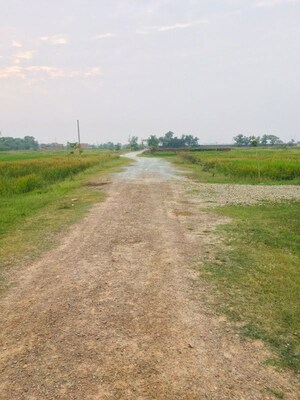  Plot For Sale in Ramnagar