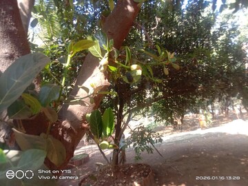 2 BHK Villa – Garden View at Karjat - for Sale