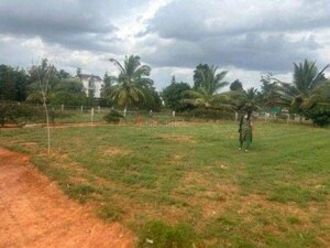  Plot For Sale in Swiss Towns, Devanahalli