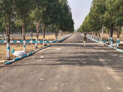 Plot For Sale in Shadnagar