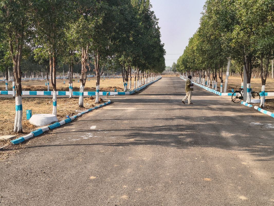 Plot For Sale in Shadnagar