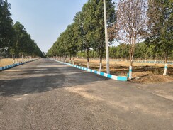Plot For Sale in Shadnagar