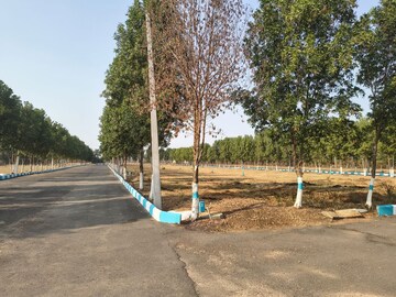 Plot Area in  Plot at Shadnagar – for Sale