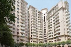 3 BHK + Servant Room Apartment For Sale in DLF The Wellington Estate