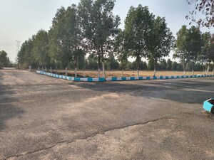  Plot – Exterior View View at Shadnagar - for Sale