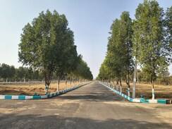 Plot For Sale in Shadnagar