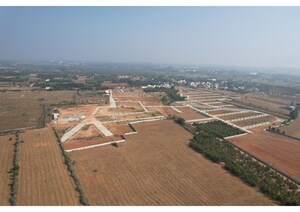 Plot Area in  Plot at Hoskote – for Sale