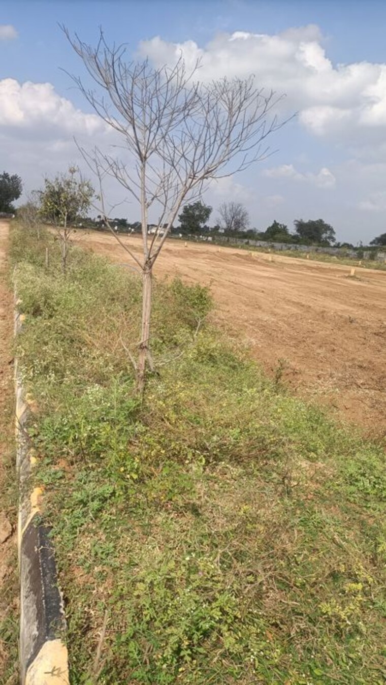 undefined, kothur  1750 Sq.Ft. Plot In Kothur Hyderabad 9926657