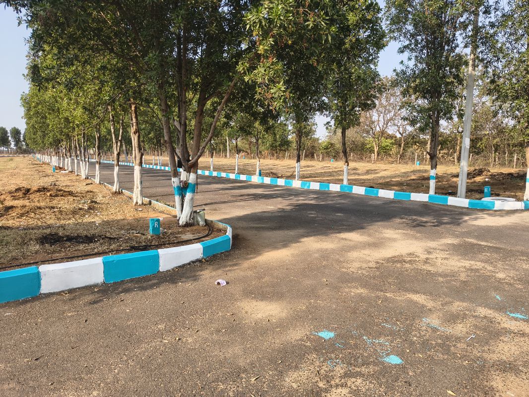 Plot For Sale in Shadnagar