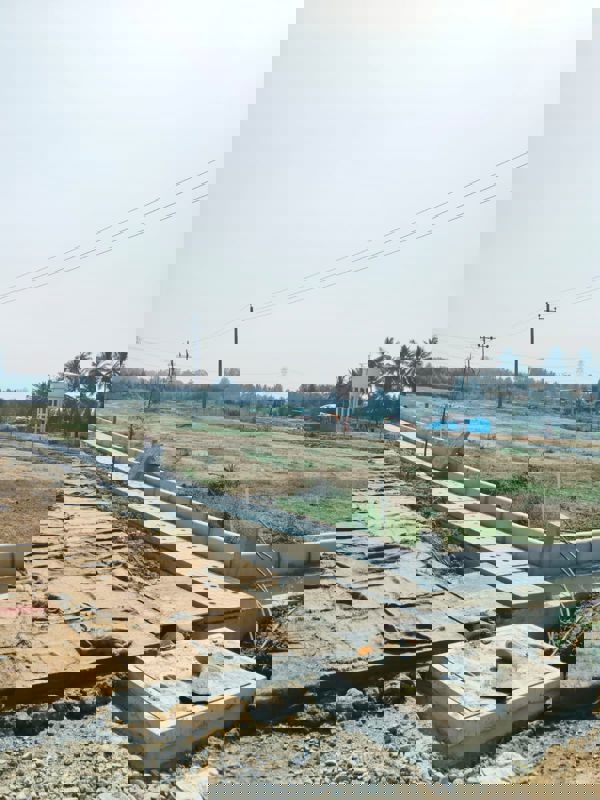 Plot For Sale in Hoskote