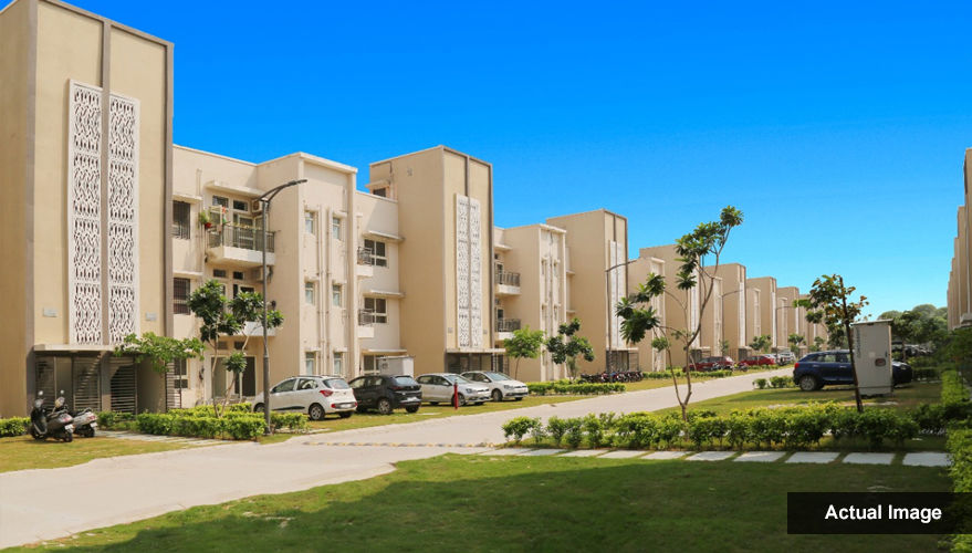 3 BHK Apartment For Rent in Lavender Floors