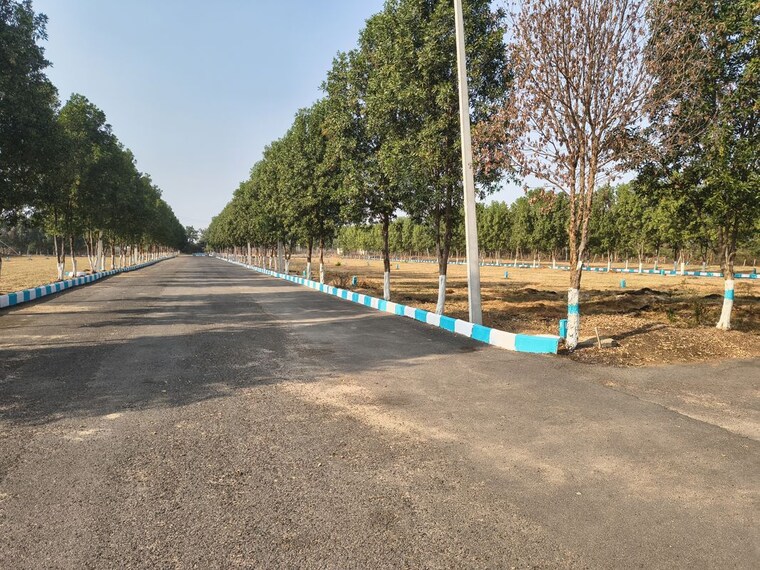 Exterior View, shadnagar  200 Sq.Yd. Plot In Shadnagar Hyderabad 9927229