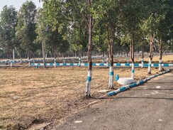 Plot For Sale in Shadnagar