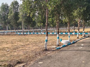  Plot For Sale in Shadnagar