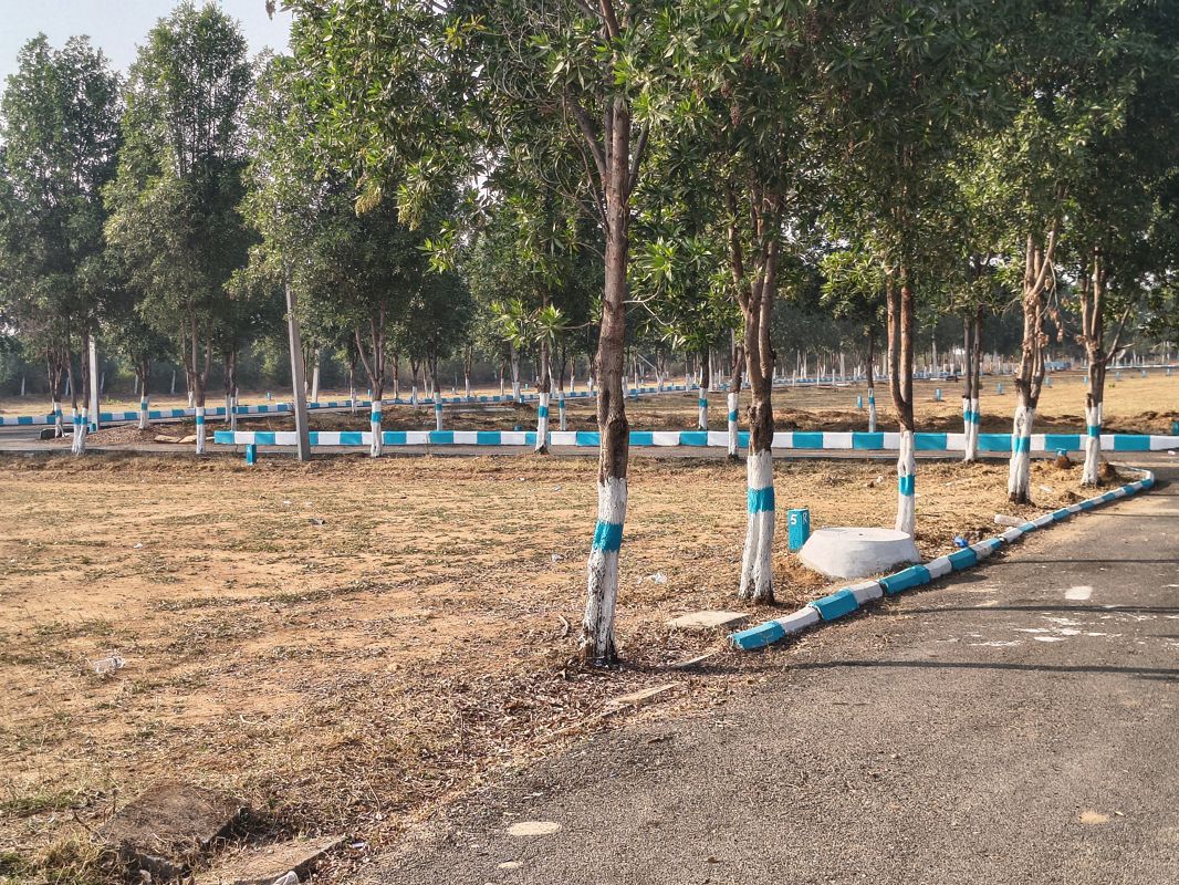 Plot For Sale in Shadnagar