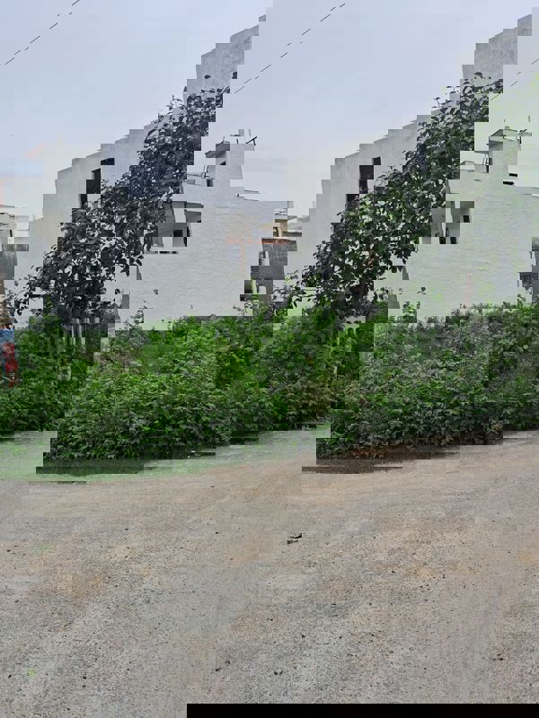 Plot For Sale in Sector 65