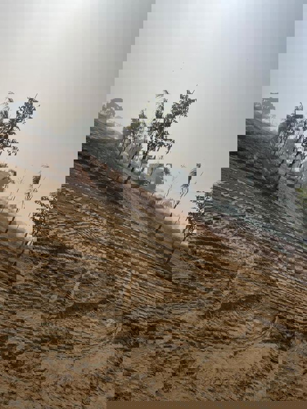 Plot Area in  Plot at Tappal – for Sale