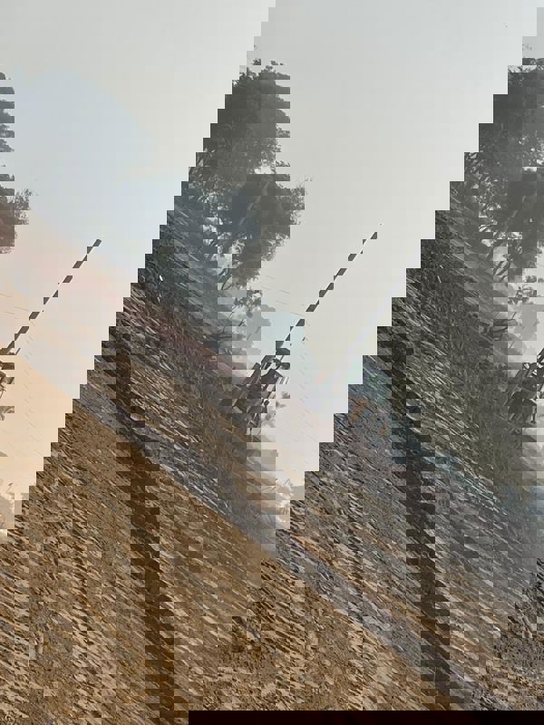 Plot Area in  Plot at Tappal – for Sale