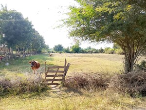  Plot For Sale in Illuppur