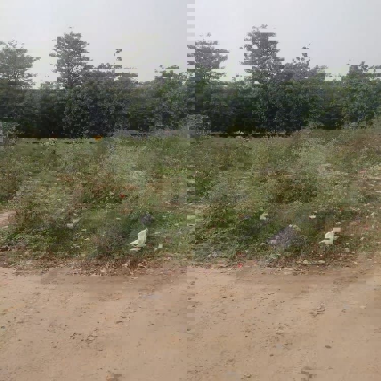 Plot For Sale in Manish Nagar