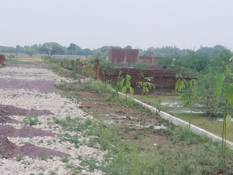 undefined, raebareli road  800 Sq.Ft. Plot In Raebareli Road Lucknow 9928358