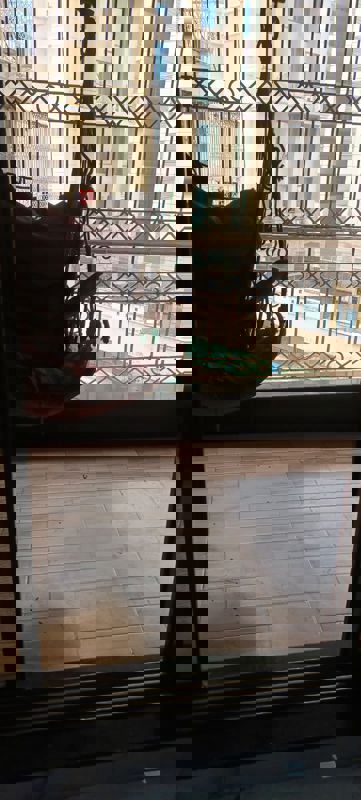 2 BHK 1235 Sq.Ft. Apartment in Shree Chamunda Damodarpriya