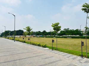 Plot Area in  Plot at BPTP Parklands, Sector 76 – for Sale