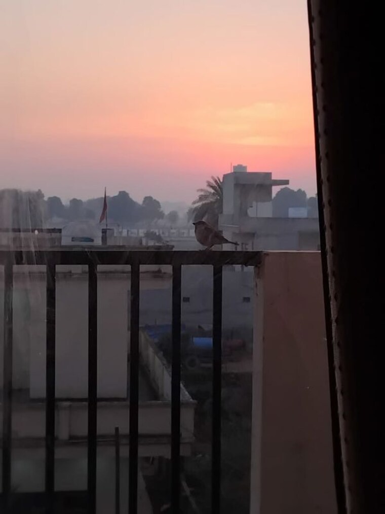 Exterior View, gls-arawali-homes 2 Bedroom 480 Sq.Ft. Apartment In Sohna Sector 4 Gurgaon 9928407