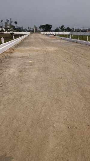  Plot For Sale in Nuzividu