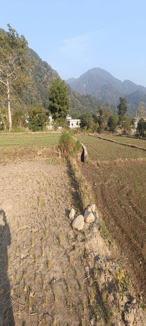 Plot Area in  Plot at Raipur – for Sale