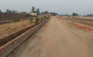 Plot Area in  Plot at Amas – for Sale